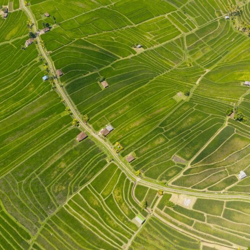 Florida Agricultural Land Aerial View Aerial view green agricultural farmland property Florida